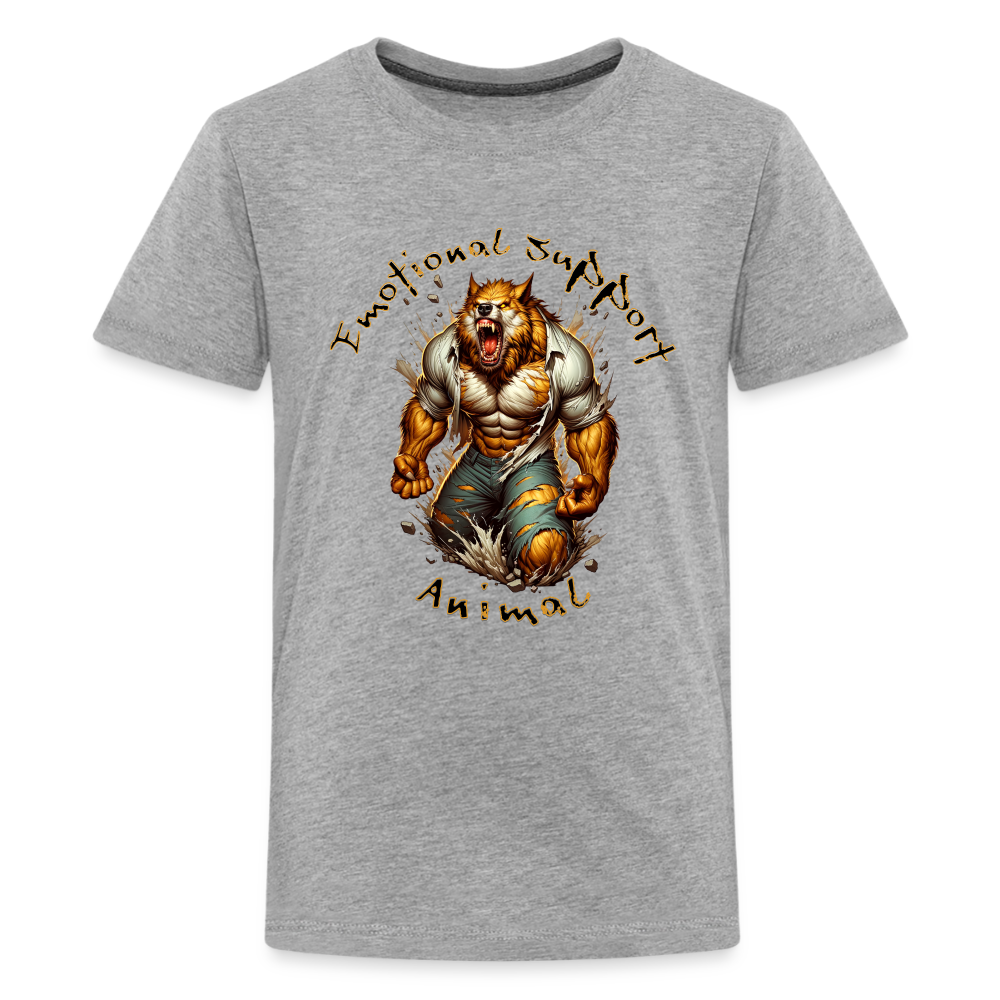 Kids' Premium T-Shirt - heather gray