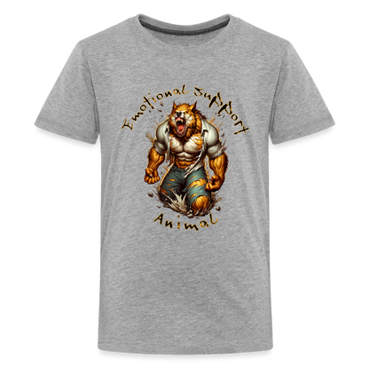 Kids' Premium T-Shirt - heather gray