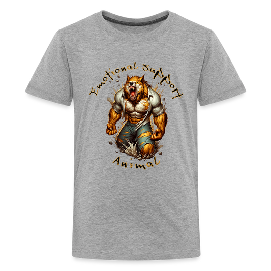 Kids' Premium T-Shirt - heather gray