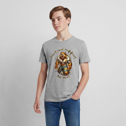 Kids' Premium T-Shirt - heather gray